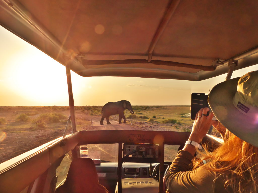 safari elephant picture Kenya Amboseli lone bull