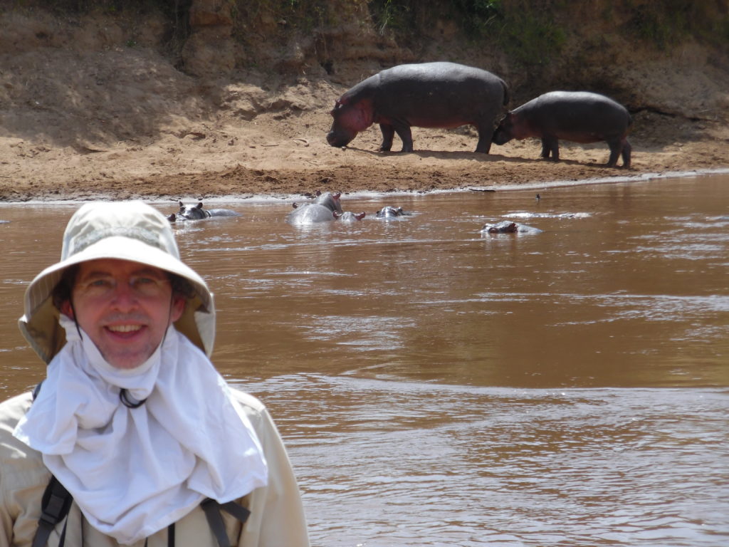 Hippos on Mara River, Masai Mara National Reserve, Kenya, safari